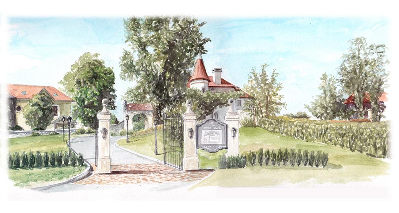 Chateau Brachet Grésy-sur-Aix Kültér fotó